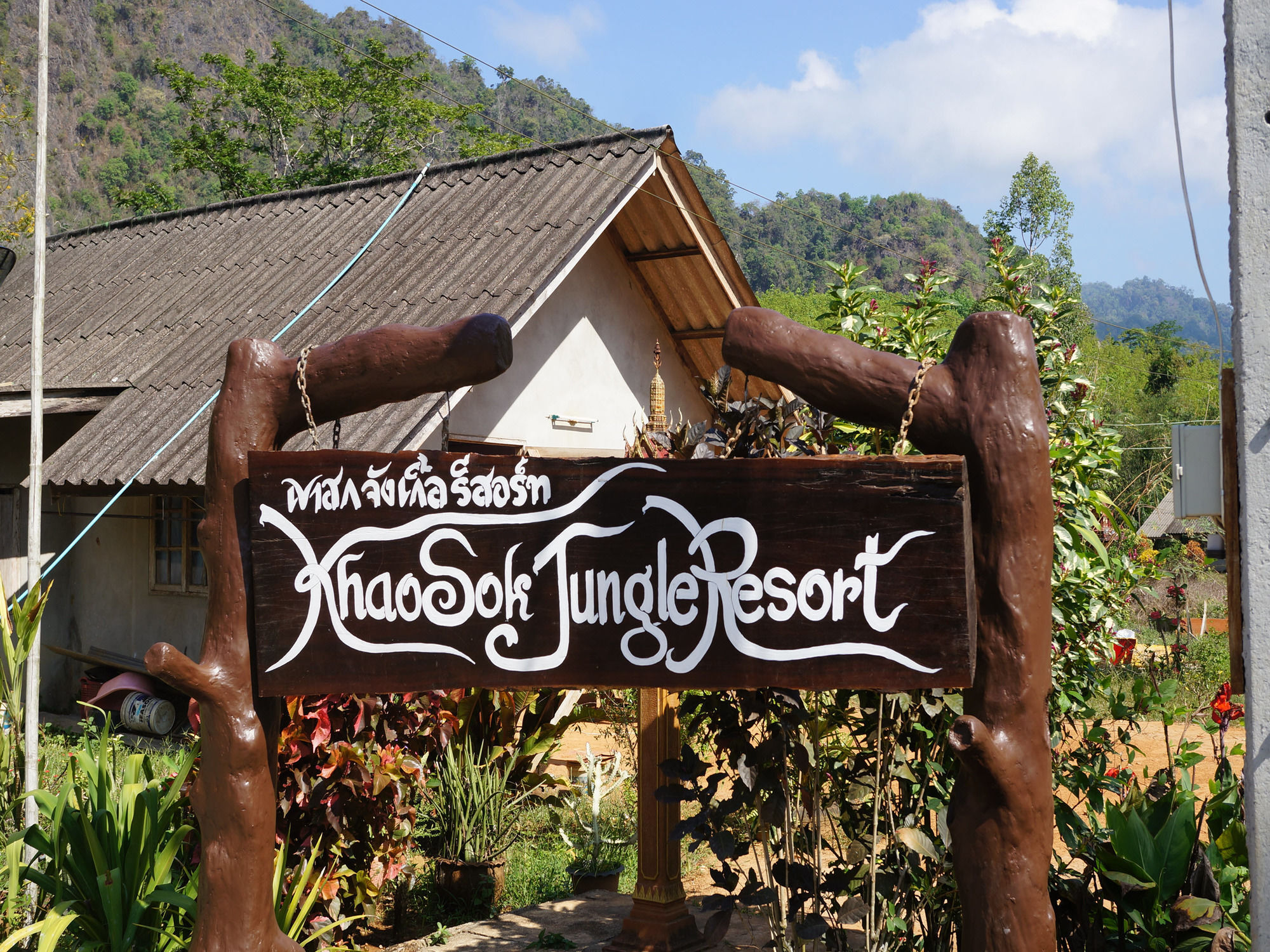 Khao Sok Jungle Resort Khao Sok National Park Extérieur photo